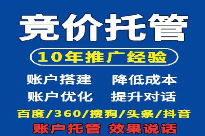 百度竞价排名服务：实战案例解析与优化技巧